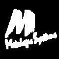 Metalogic Systems
