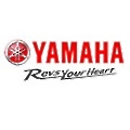 India Yamaha Motor