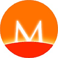 The Millennium Group