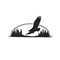 Eagle Environmental Services