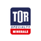 TOR Minerals International