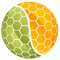 Swarm64