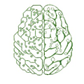 Physiz