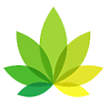 IndicaOnline