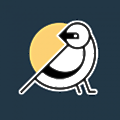 Mockingbird