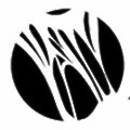 NeoChord