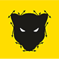 Panther Studio