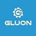 Gluon Solutions
