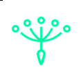 Finnovista