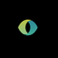 Smarter Eye