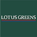 Lotus Greens