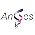 AnGes