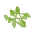 SDIX