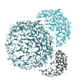 Aleta BioTherapeutics