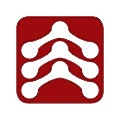 Spinal Elements