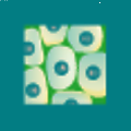 BioCrine