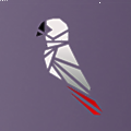 Greyparrot