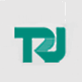 Techrise Electronics