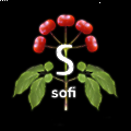 sofi