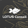 Lotus Conseil