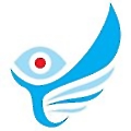 Flying Bots