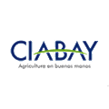 Ciabay