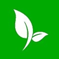 Arborgold