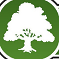 The Galtee Group