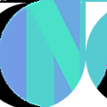 Newton School