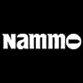 Nammo Defense Systems