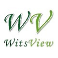 witsview