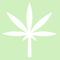 Hey Bud Skincare