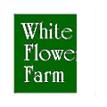 White Flower Farm