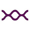 BeammWave