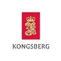 Kongsberg Seatex