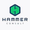 Hammer Consult