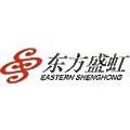 Jiangsu Eastern Shenghong