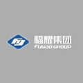 Fuyao Group Shanghai Automobile Glass