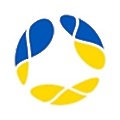 Avenga IT Professionals