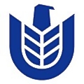USPACE Technology Group