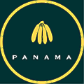 Panama Banana