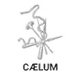 Caelum Innovations