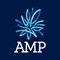 AMP