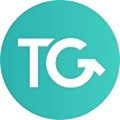 The Travel Group
