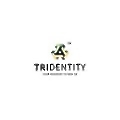 Trident Digital Tech Holdings
