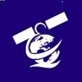 Shandong Satellite Research Institute