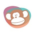 MonkeySoft Solutions