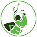 Mighty Cricket