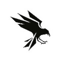 Raven.io