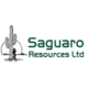 Sagurao Resources